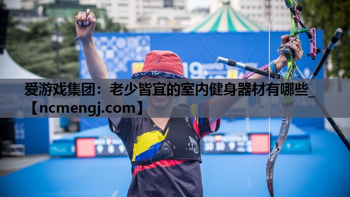 爱游戏集团：老少皆宜的室内健身器材有哪些_
