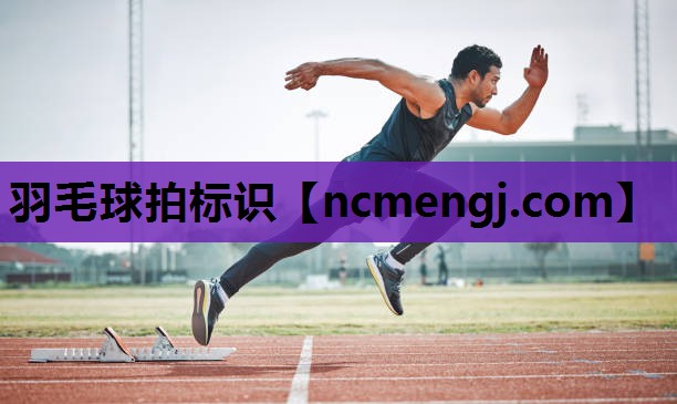 羽毛球拍标识