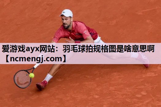 爱游戏ayx网站：羽毛球拍规格图是啥意思啊