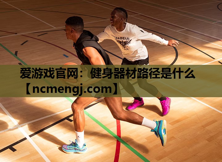 爱游戏官网：健身器材路径是什么