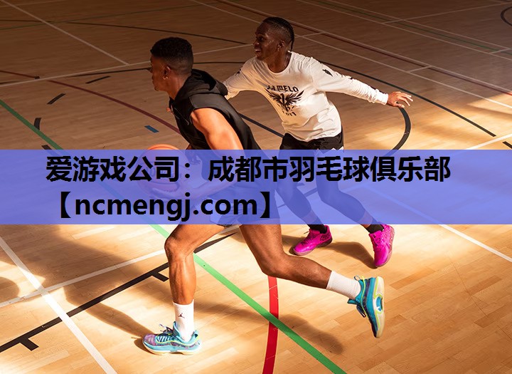 爱游戏公司：成都市羽毛球俱乐部