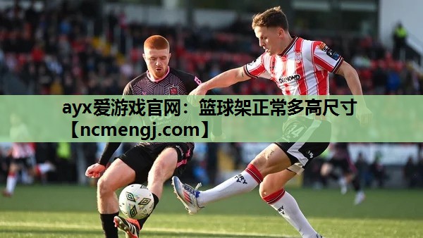 ayx爱游戏官网：篮球架正常多高尺寸