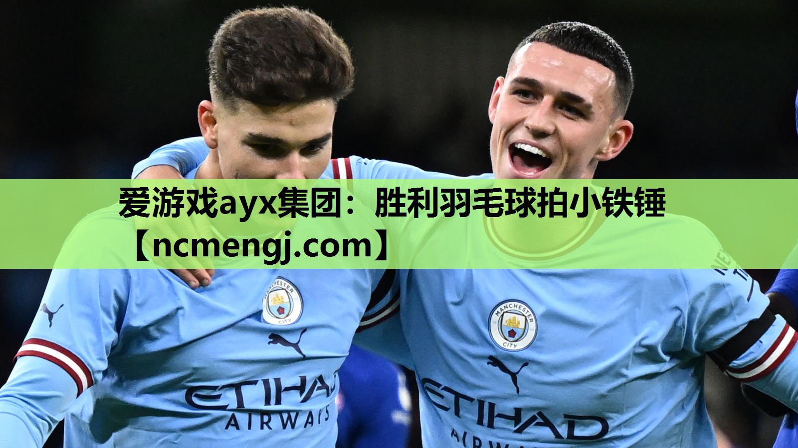 爱游戏ayx集团：胜利羽毛球拍小铁锤