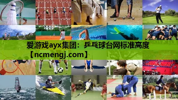乒乓球台网标准高度