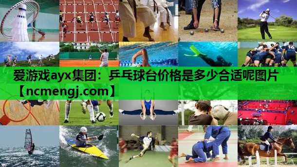 乒乓球台价格是多少合适呢图片