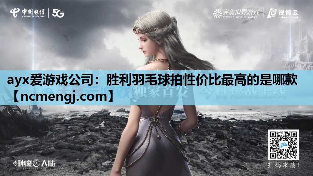 胜利羽毛球拍性价比最高的是哪款