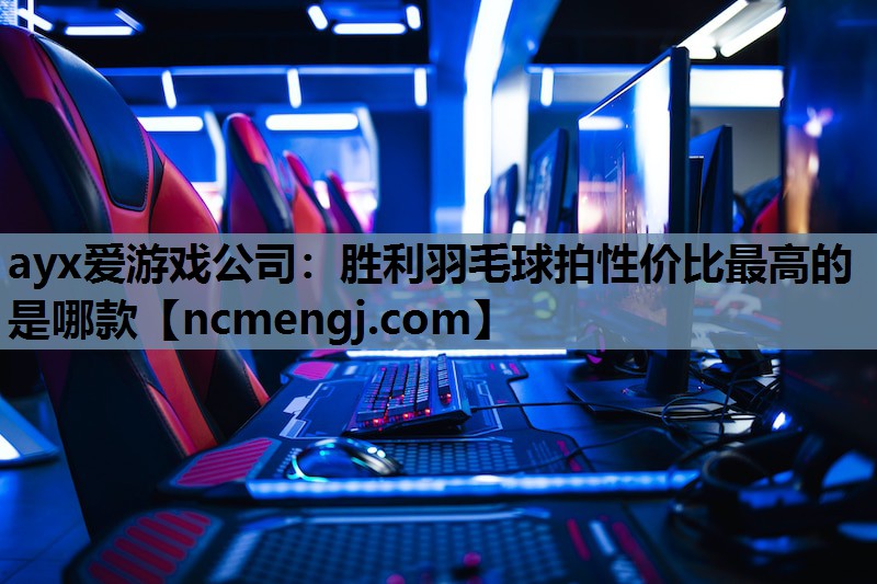 胜利羽毛球拍性价比最高的是哪款