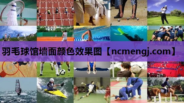 羽毛球馆墙面颜色效果图