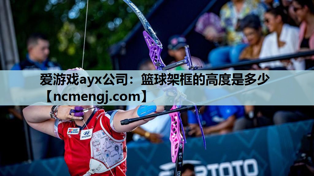 篮球架框的高度是多少