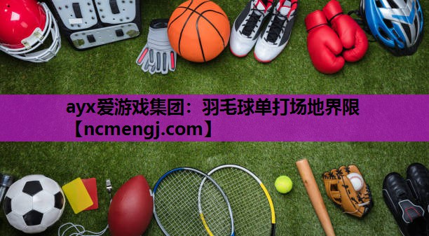 羽毛球单打场地界限