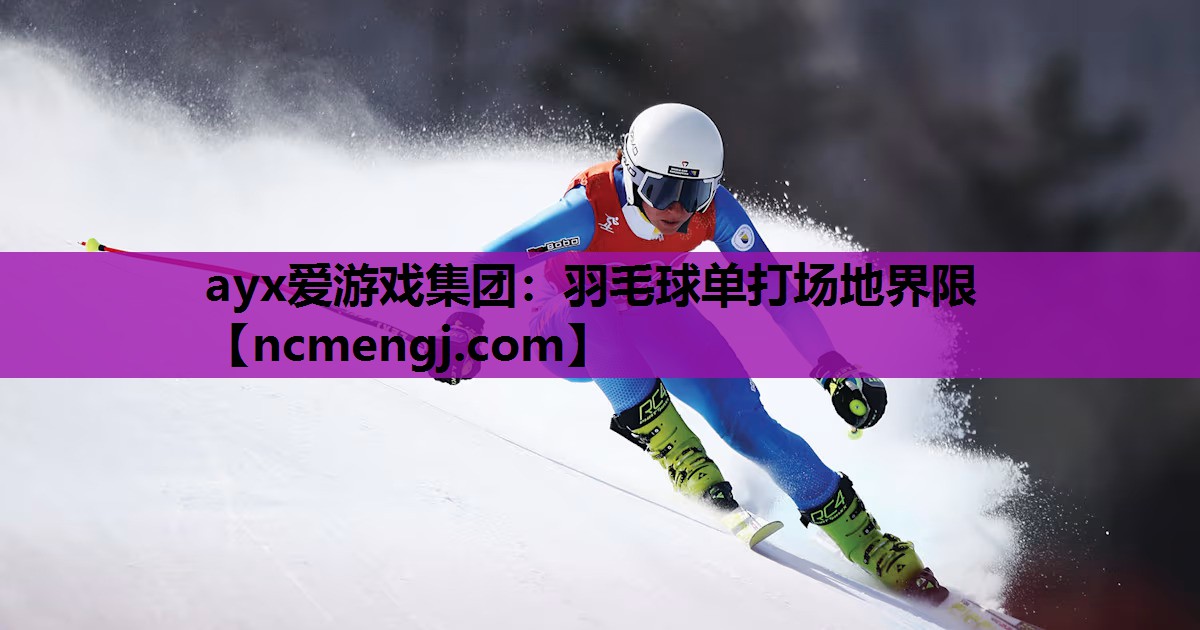 羽毛球单打场地界限
