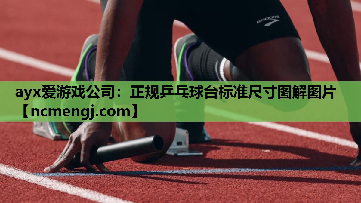 正规乒乓球台标准尺寸图解图片