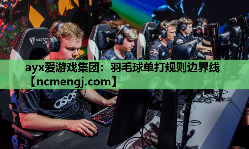 羽毛球单打规则边界线