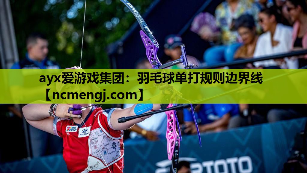 羽毛球单打规则边界线