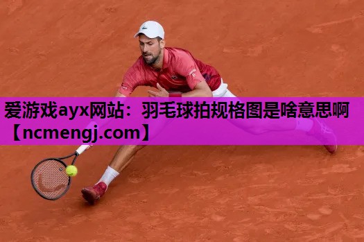 羽毛球拍规格图是啥意思啊