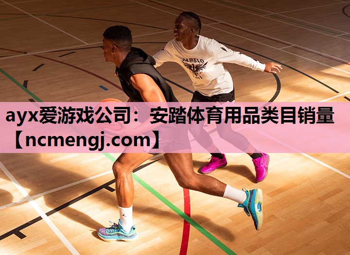 安踏体育用品类目销量