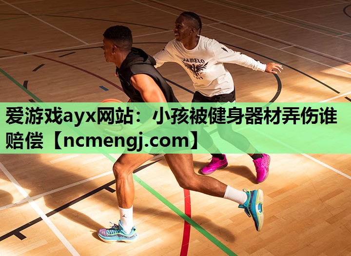 小孩被健身器材弄伤谁赔偿