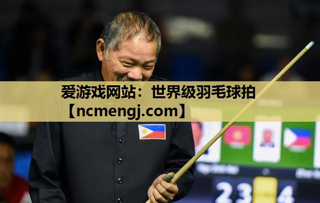 世界级羽毛球拍