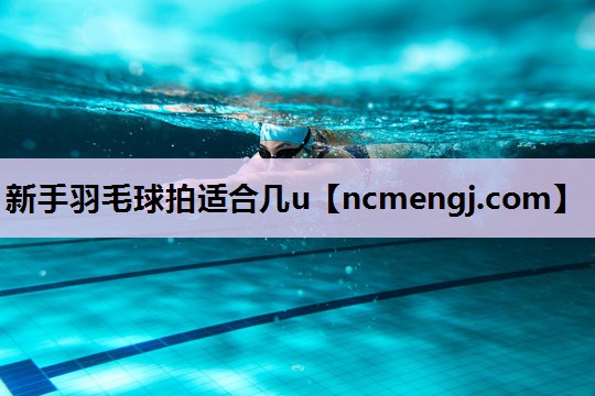 新手羽毛球拍适合几u