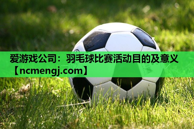 羽毛球比赛活动目的及意义