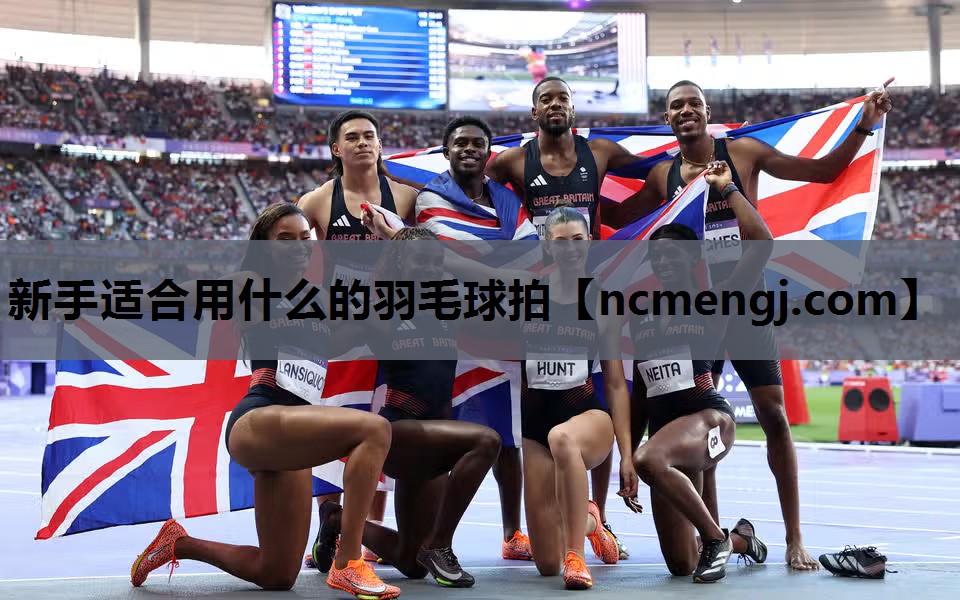 新手适合用什么的羽毛球拍