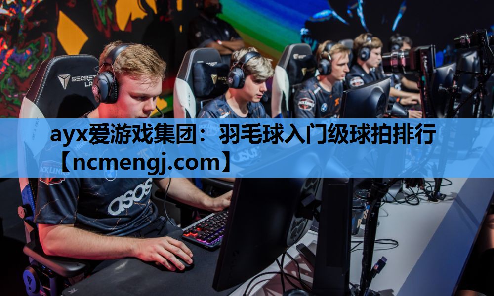 羽毛球入门级球拍排行