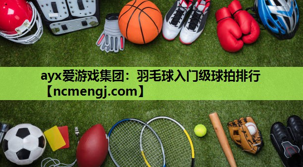 羽毛球入门级球拍排行