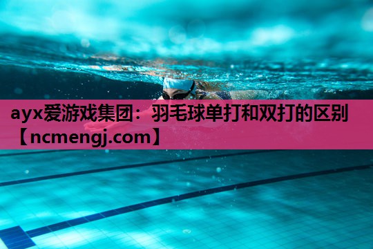 羽毛球单打和双打的区别
