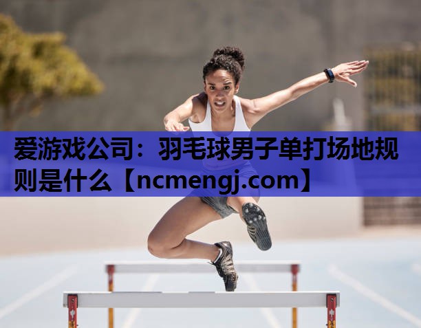 羽毛球男子单打场地规则是什么