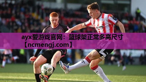篮球架正常多高尺寸