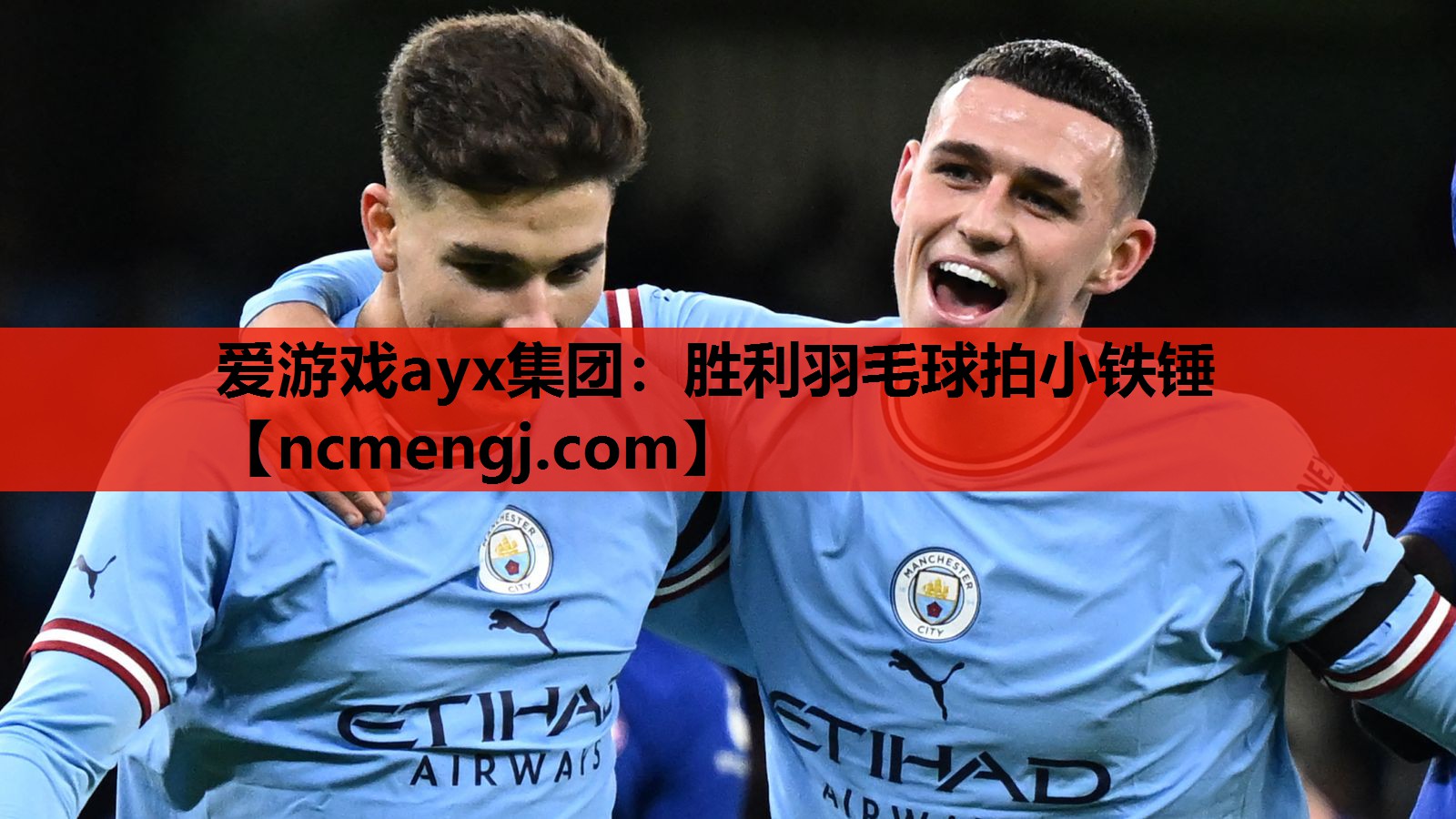 胜利羽毛球拍小铁锤